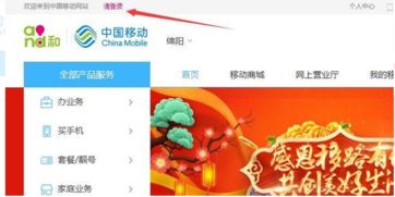 轻松查询消费清单与代收移动话费的便捷指南